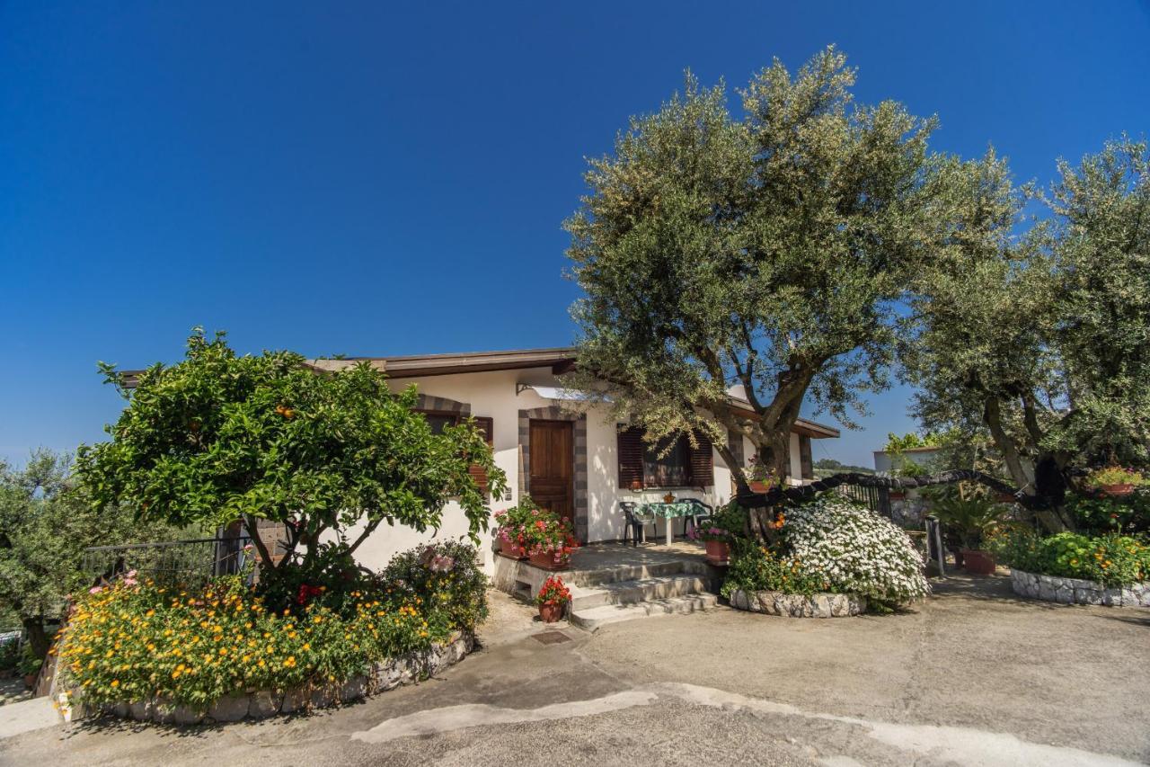 Villa Mattia In The Land Of Sirens Сант-Агата-суй-Дуе-Гольфі Екстер'єр фото
