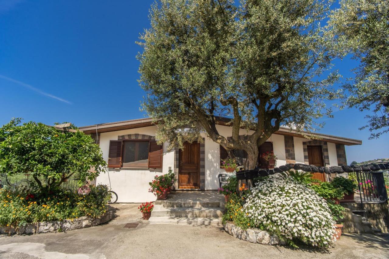 Villa Mattia In The Land Of Sirens Сант-Агата-суй-Дуе-Гольфі Екстер'єр фото