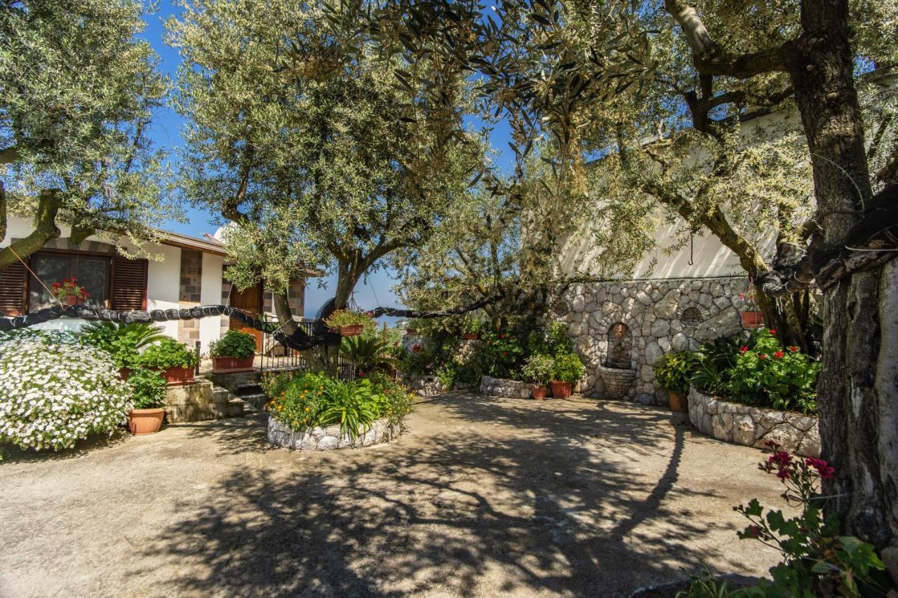 Villa Mattia In The Land Of Sirens Сант-Агата-суй-Дуе-Гольфі Екстер'єр фото
